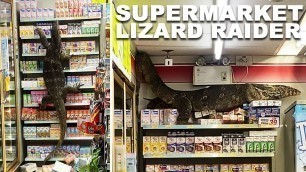 'HUGE Monitor Lizard Destroys Supermarket Shelves'