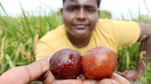 'Glob Jamoon|குலோப் ஜாமூன் செய்யலாம்|For 50 road side peoples|Small Boy Suppu'