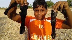 'GOAT LEG SOUP PREPARED BY SMALL BOY SUPPU/VILLAGE FOOD SAFARI'