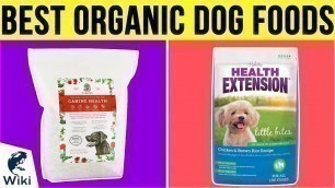 '10 Best Organic Dog Foods 2019'