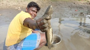 'விரால் மீன் வேட்டை|Murrel Fish Hunting|குட்டை குழப்பி மீன் பிடித்தல்|Village Food Safari|Suppu'