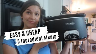 '7 EASY & HEALTHY CROCKPOT MEALS: 5 INGREDIENTS OR LESS RECIPES ON A BUDGET'