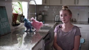 'Dyeing Silkie Chickens with Food Coloring'