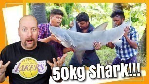 '50 Kg SHARK FISH RECIPE | Shark Fish Curry | Village Food Channel'