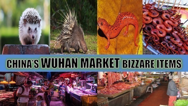 'Some of Wuhan\'s Market Bizarre Items'