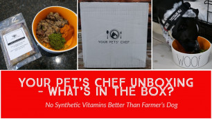 'Your Pets\' Chef Cooked Dog Food Unboxing & Initial Impressions No Synthetic Vitamins'