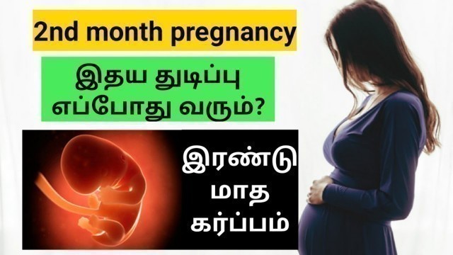 'pregnancy tips in tamil | baby heartbeat in pregnancy in tamil | 2nd month pregnancy in tamil'