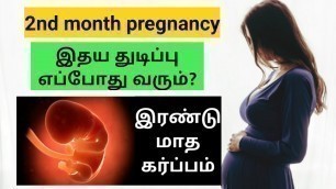 'pregnancy tips in tamil | baby heartbeat in pregnancy in tamil | 2nd month pregnancy in tamil'