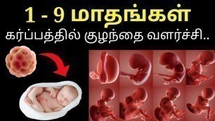 'Karbathil kulandhai valarchi | Baby development pregnancy tamil | Development of baby in pregnancy |'