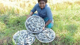 '20kg Fish Curry|20 கிலோ மீன் குழம்பு|For Homeless and road side peoples|Small Boy Suppu|'