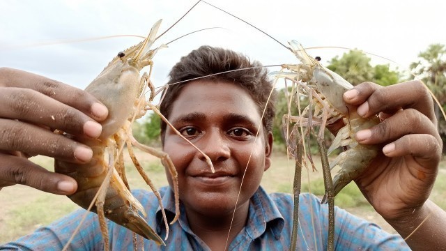 '2ரூபாய் தூண்டில் போட்டு பிடித்த நாட்டு இறால், உளுவை மீன் குழம்பு|Prawn and Fish hunting with Hook'