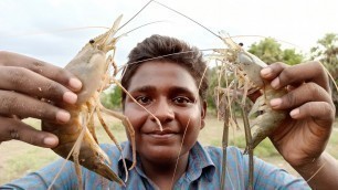'2ரூபாய் தூண்டில் போட்டு பிடித்த நாட்டு இறால், உளுவை மீன் குழம்பு|Prawn and Fish hunting with Hook'