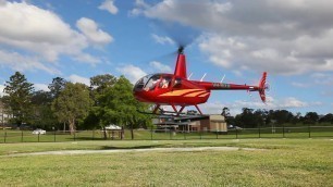 'Pterodactyl Helicopters Flying Food Safari'