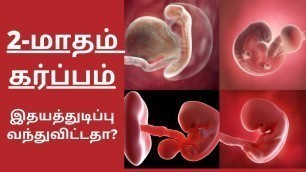 '2 month pregnancy tamil | second month pregnancy in tamil | Pregnancy tips in Tamil|கர்ப்பம் மாதம் 2'