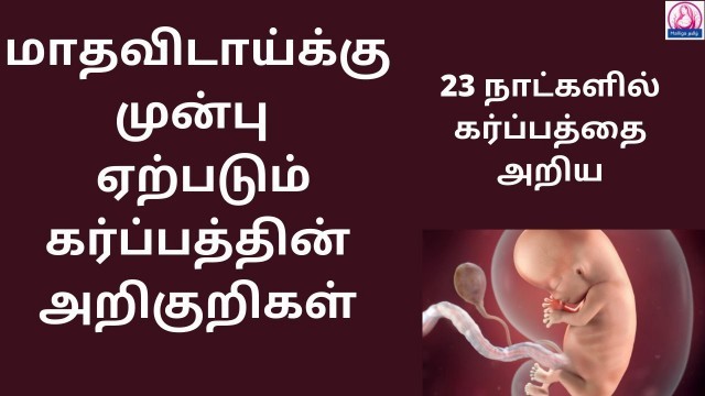 'Early pregnancy symptoms before missed periods in Tamil | pregnancy symptoms in Tamil l MalligaTamil'