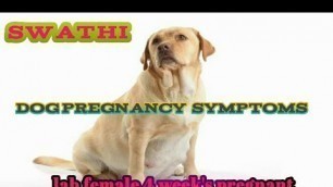 'Lab female 4 weeks pregnancy symptoms, advice    # tamil'