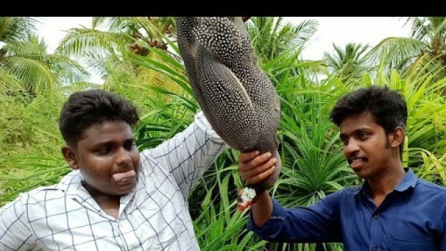 'தம்பி சுப்புவுடன் கின்னி கோழி கில்மா|Guinea fowl Gilma|Village Food Safari ft Oorukku Oru Samayal'