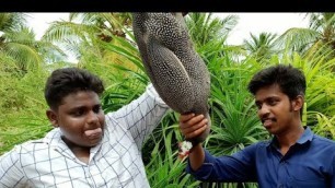 'தம்பி சுப்புவுடன் கின்னி கோழி கில்மா|Guinea fowl Gilma|Village Food Safari ft Oorukku Oru Samayal'