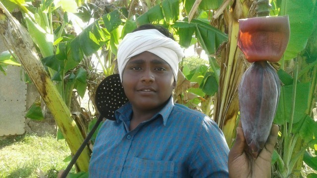 'வாழ்வு தரும் வாழை பூ வடை||Banana Flower Donut -Healthy recipie||Small Boy Subbu||Village Food Safari'