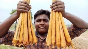 'பனங்கிழங்கு வேட்டை|Palmyra Sprout Hunting|பனங்கிழங்கு பக்கோடா|Small Boy Suppu|Village food Safari'