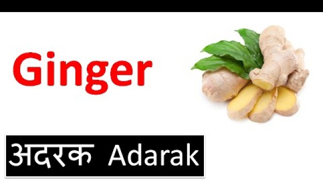 '41 Indian SPICES (Masala मसाला) Names in Hindi & English with Pictures + Pronunciation Tips'