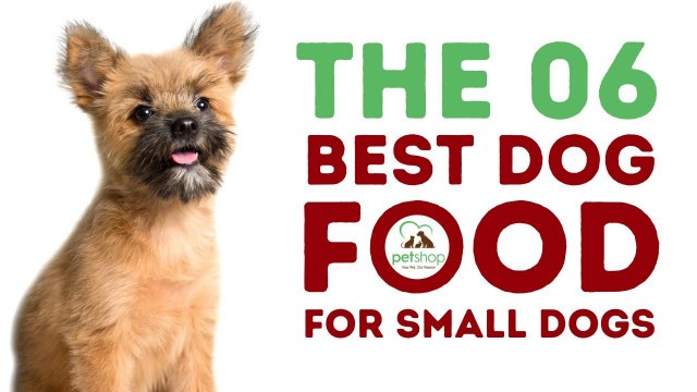 'Best Dog Foods for Small Dogs'