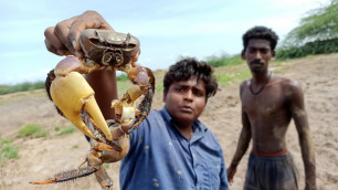 'களி நண்டு வேட்டை|Mud Crab Hunting and Cooking|Village Food Safari |Small Boy Suppu'