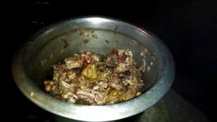 'Monitor lizard Cooking in my village- Udumbu curry samaiyal-Food Fun Village'