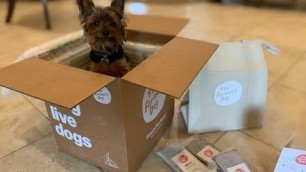 'The Farmers Dog Review & Unboxing'