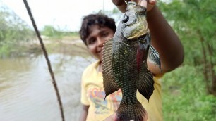 'Fish Catching|குட்டையில் மீன் பிடித்தல்|Village Fish Hunting|Small Boy Suppu|Village Food Safari'