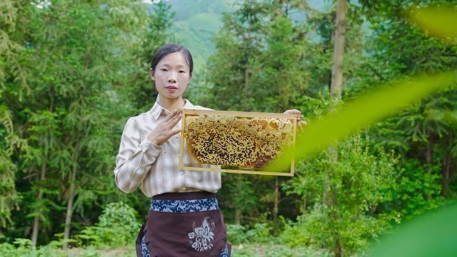 'Chinese country girl from honey picking to bread and food making｜万蜂丛中取蜂蜜，制作的美食，吃进嘴里甜在心里｜野小妹wild girl'