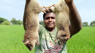 'Rat hunting and Cooking|வயல் எலி வேட்டை|Rat Gravy|World First Rat Gravy|Village Food Safari|Suppu'