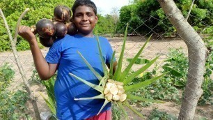 'பனை நுங்கு அல்வா|Palm Fruit Halwa|Village Food Safari|Small boy Suppu'