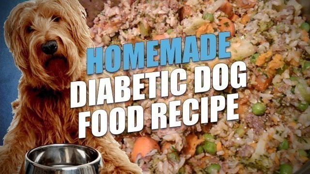 'Homemade Diabetic Dog Food Recipe (Cheap and Healthy)'