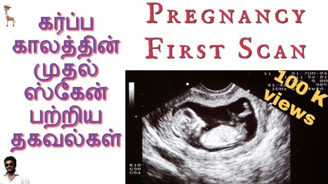 'Know about your Pregnancy First Scan | Tamil'