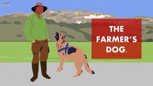 'The Farmer\'s Dog Story'