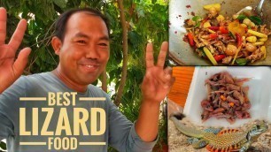 'Best Lizard Food | ឆាក្តៅសត្វជៀស'