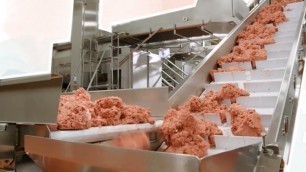 'Inside A VEGAN MEAT FACTORY'