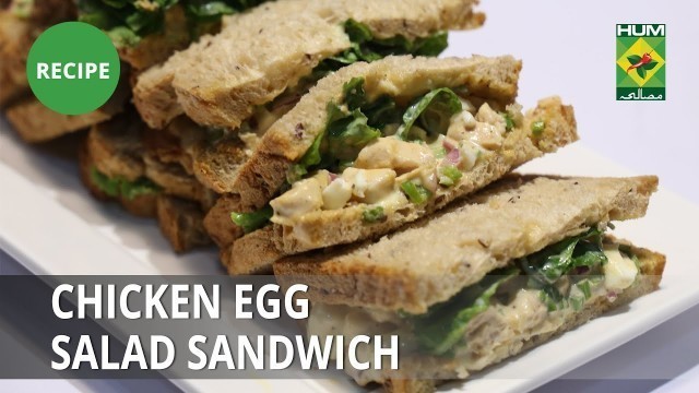 'Chicken Egg Salad Sandwich Recipe| Food Diaries |  Zarnak Sidhwa | Fast Food'