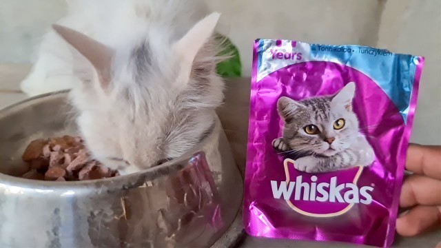 'Cat Loves Jelly Food Whiskas'