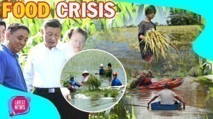 'China economic collapse: CCP food crisis serious amid Wuhan virus and flood'