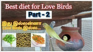 'Love Birds க்கு ஊட்டச்சத்துள்ள உணவுகளும் அதன் பயன்களும் - Part 2 | Best foods for Love Bird in tamil'