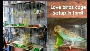 'love birds(budgies)cage setup in tamil| colony breeding|separate breeding'