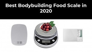 'Best Bodybuilding Food Scale in 2020'