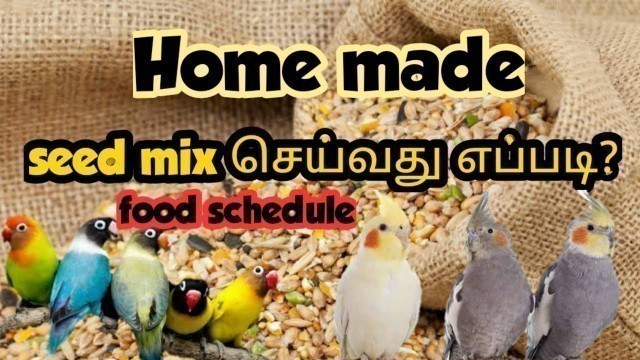 'Making seed mix at home for cockatiels and african love birds | Perfect food chart for aviary birds'