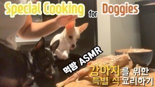 'Homemade HEALTHY Chicken Meals For Puppies & ASMR Chihuahua Reviewing'