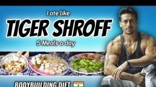 'I Tried \" TIGER SHROFF \" Bodybuilding Diet Plan for a day 