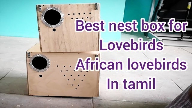 'Best Nest box for love birds and African love birds in tamil'