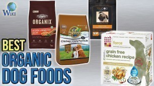 '10 Best Organic Dog Foods 2017'