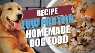 'Low Protein Homemade Dog Food Recipe (Cheap and Healthy)'